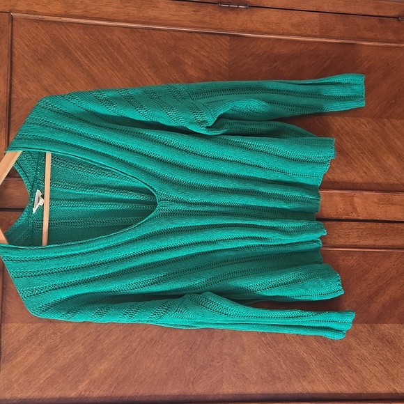 ee.some Sweaters - Kelly Green V Neck